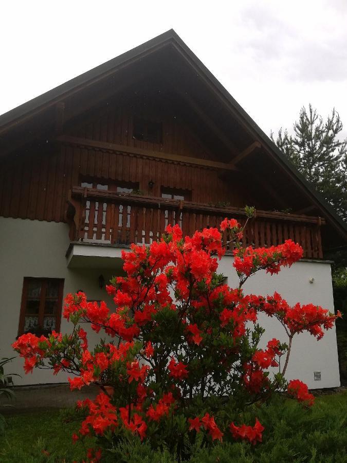 Apartmany 670 Pod Lysou Horou Rokytnice nad Jizerou Bagian luar foto